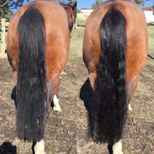 Load image into Gallery viewer, 2 in 1 Detangle &amp; Shine Spray - Original Hairy Pony
