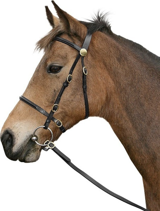 CAVALINO IN HAND BRIDLE