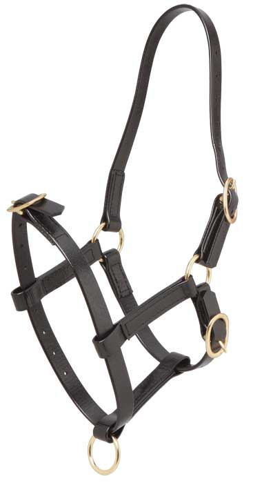 Zilco PN Foal Halter