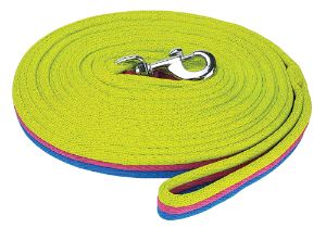 Brite Lunge Lead