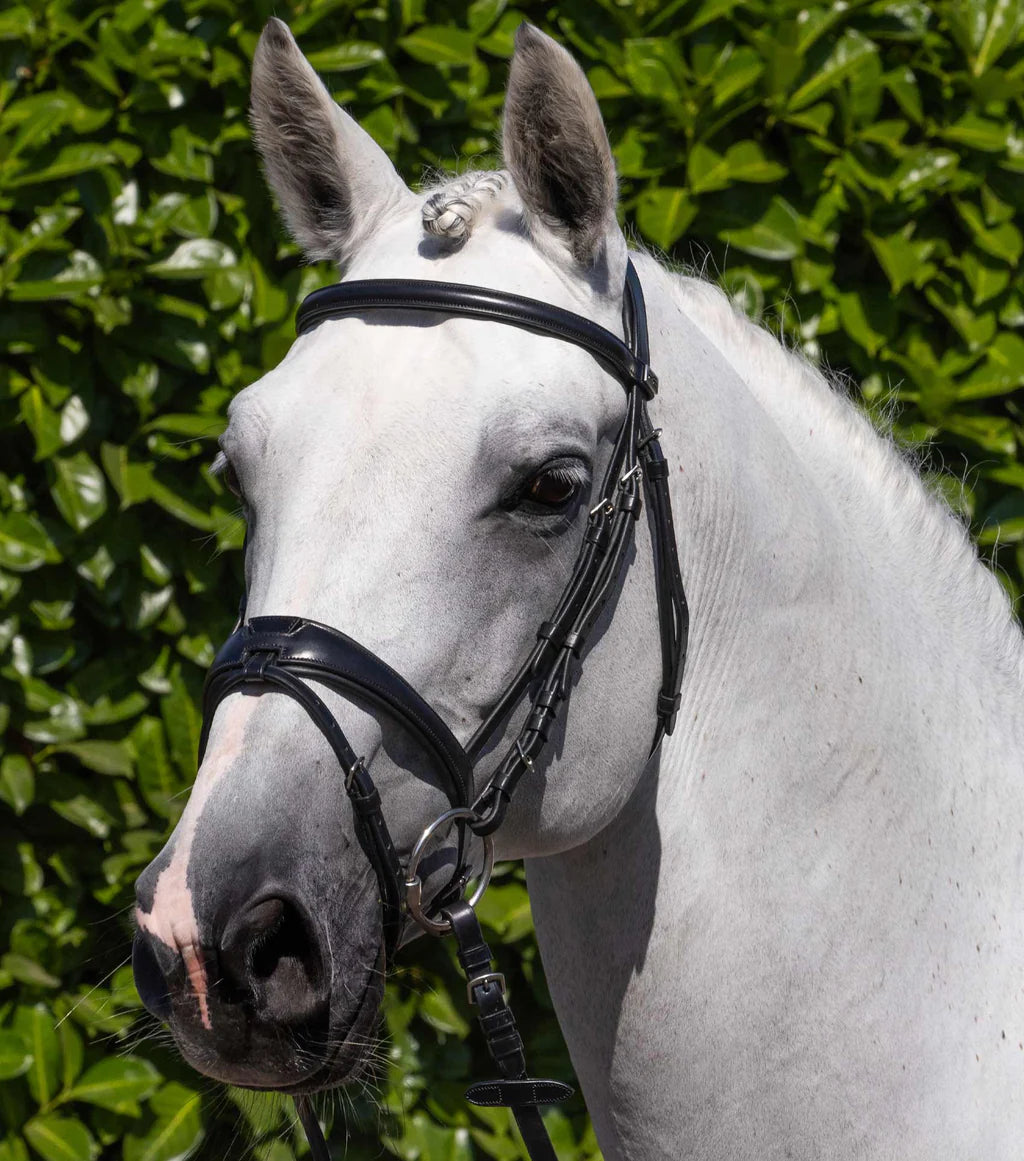 Artana Snaffle Bridle Brown - PEI