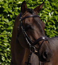 Load image into Gallery viewer, Artana Snaffle Bridle Brown - PEI
