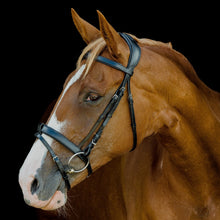 Load image into Gallery viewer, Platinum Signature Classic Bridle
