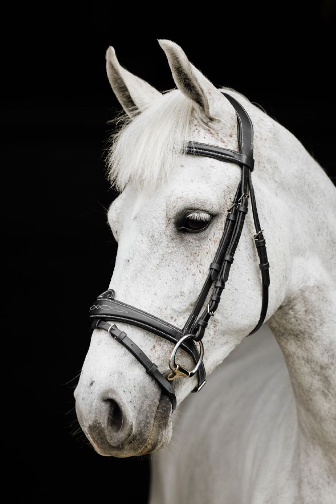 Cavallino Royal Windsor