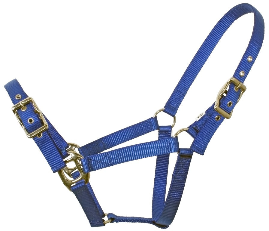 FLAIR HEAVY DUTY NYLON WEB HALTER