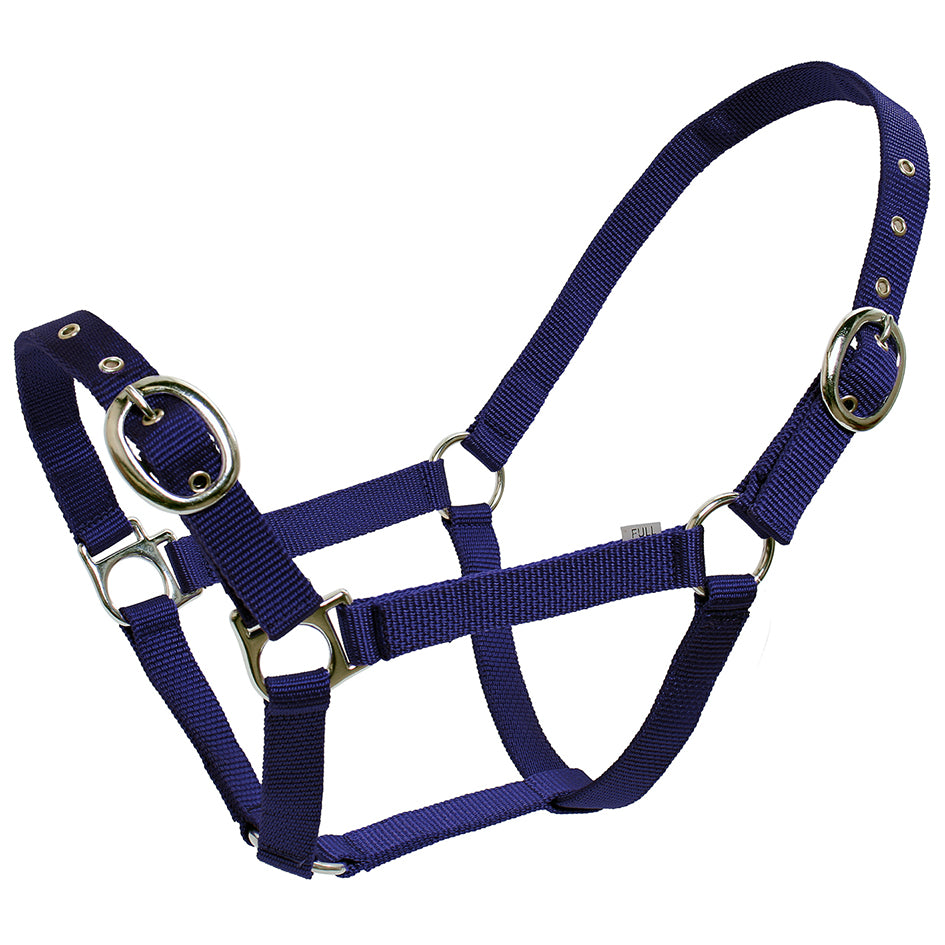 BLUE TAG WEB HALTERS