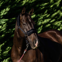 Load image into Gallery viewer, PLUSH FLEECE LINED HALTER
