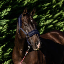 Load image into Gallery viewer, PLUSH FLEECE LINED HALTER
