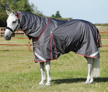 Load image into Gallery viewer, Premier Equine Buster 50g Waterproof Turnout Rug with Sung-fit Neck Cover
