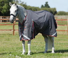 Load image into Gallery viewer, Premier Equine Buster 50g Waterproof Turnout Rug with Sung-fit Neck Cover
