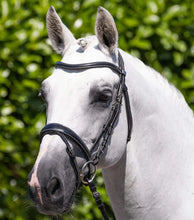 Load image into Gallery viewer, Cassano Snaffle Bridle Black
