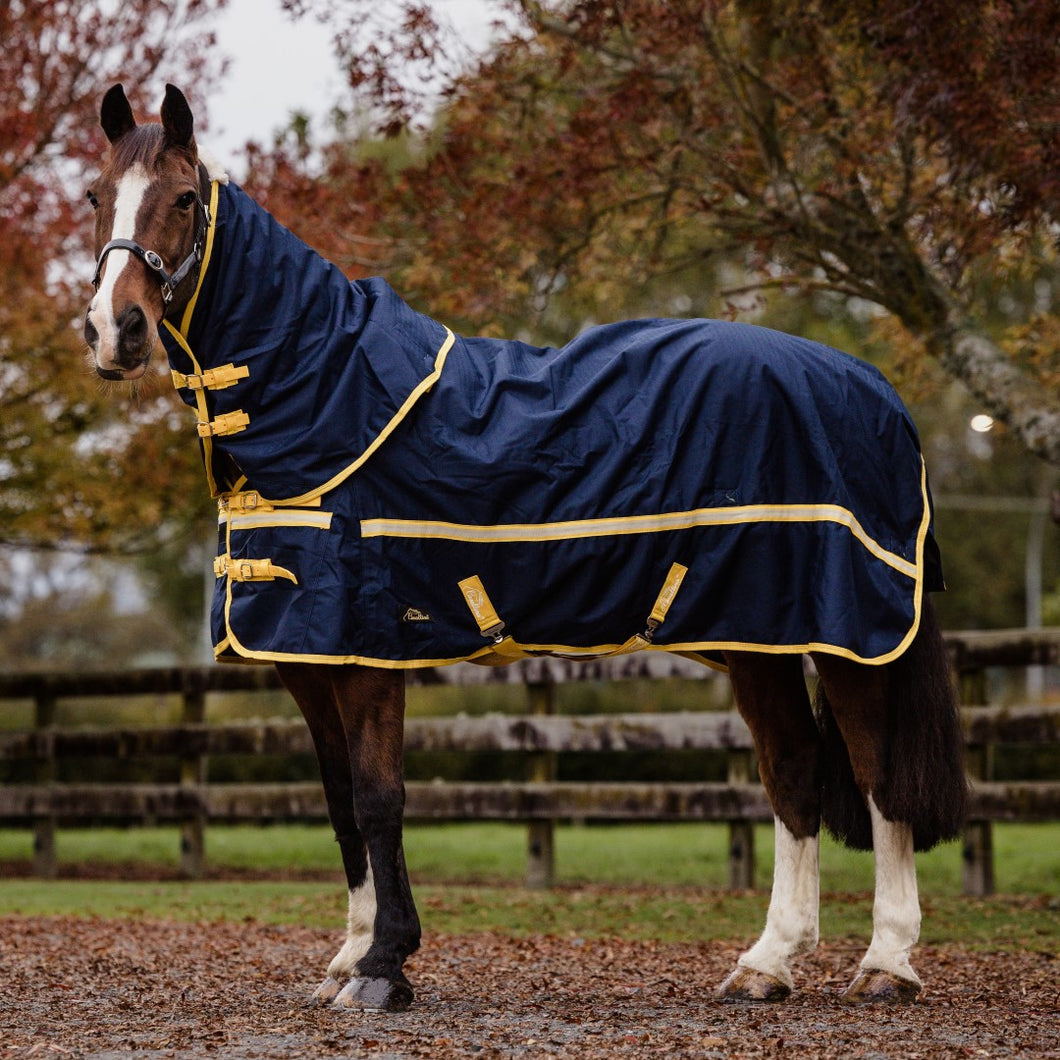 Cavallino Northampton Detach A Neck 220gm