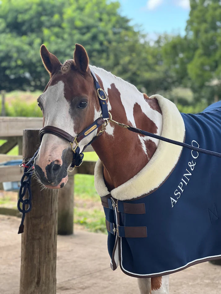 Aspin and Co Luxury Show Rug