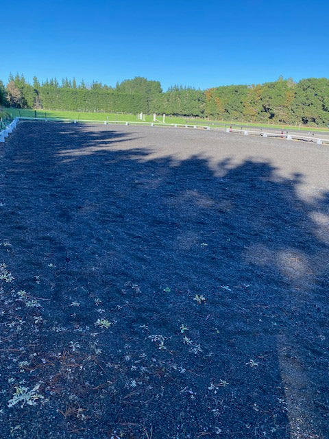 Dressage Arena Hire /hour