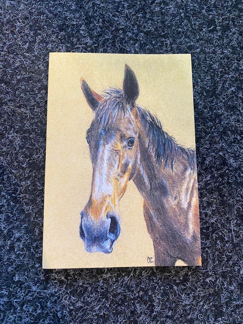 bay horse card