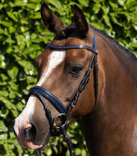 Load image into Gallery viewer, Mineo Pony Snaffle Bridle Black
