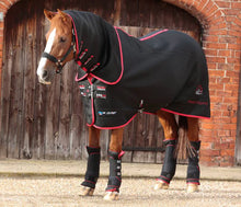 Load image into Gallery viewer, Premier Equine Nano-Tec Infrared Horse Rug
