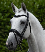 Load image into Gallery viewer, Premier Equine Rizzo Anatomic Snaffle Bridle with Flash
