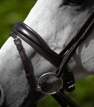 Load image into Gallery viewer, Premier Equine Rizzo Anatomic Snaffle Bridle with Flash
