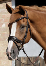 Load image into Gallery viewer, Premier Equine Rizzo Anatomic Snaffle Bridle with Flash
