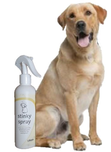 Lillidale Stinky Spray for Dogs