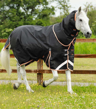 Load image into Gallery viewer, Titan 300g Turnout Rug with Snug-Fit Neck
