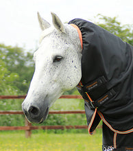 Load image into Gallery viewer, Titan 300g Turnout Rug with Snug-Fit Neck

