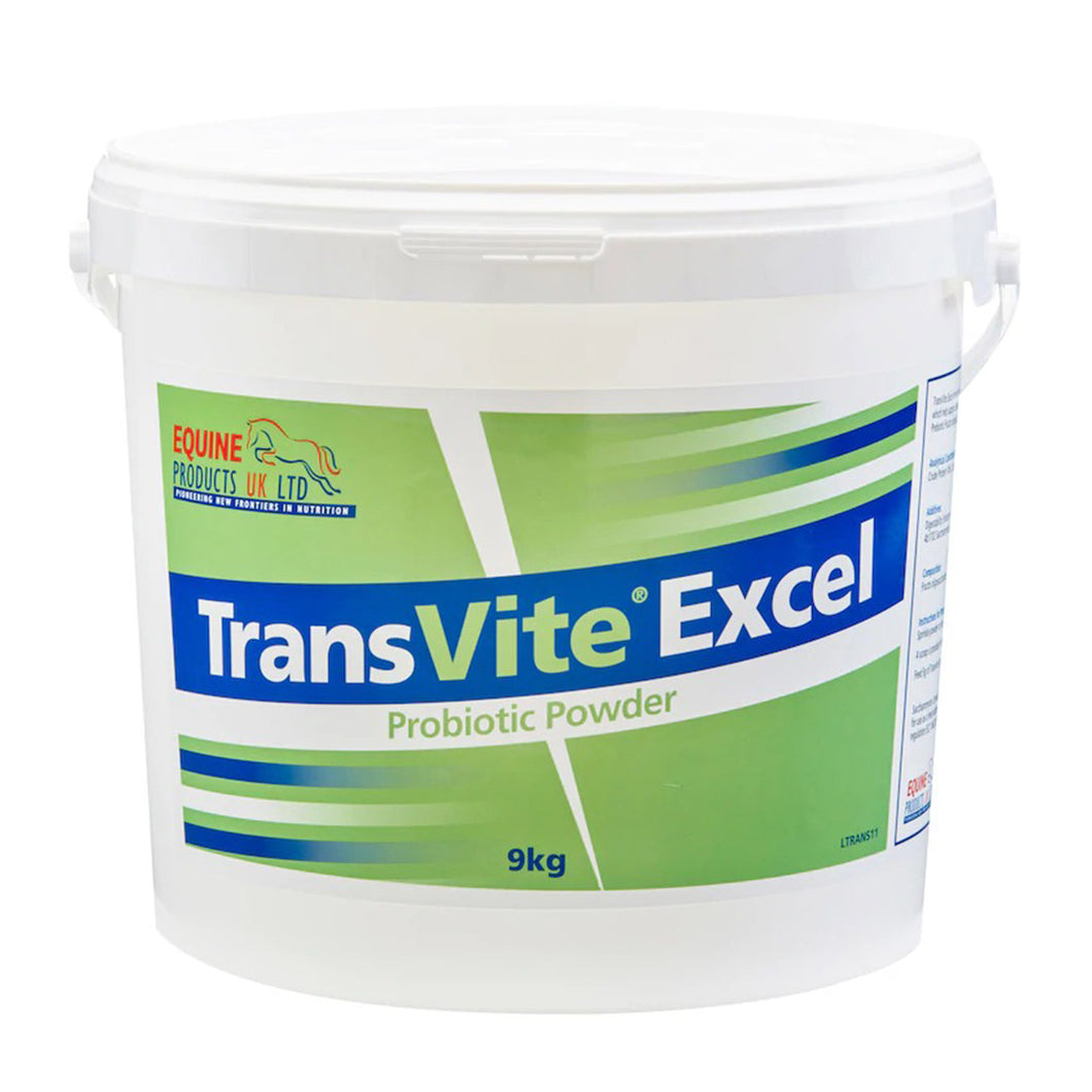 Transvite Excel