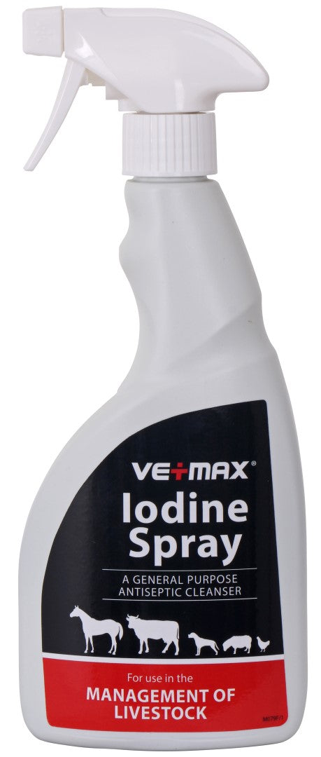 IODINE SOLUTION SPRAY 2.5%