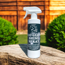 Load image into Gallery viewer, Echo Glow Shine Spray
