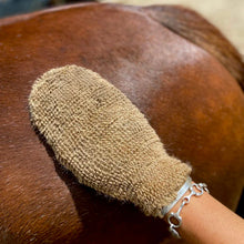 Load image into Gallery viewer, Echo horse Mighty Mitt
