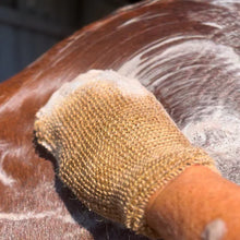 Load image into Gallery viewer, Echo horse Mighty Mitt
