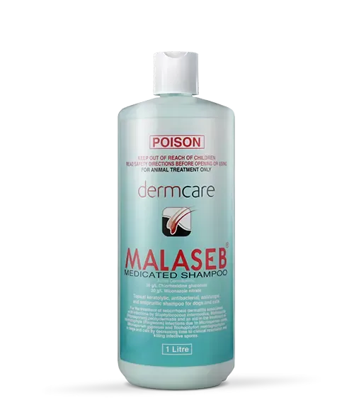 Malaseb Medicated Shampoo