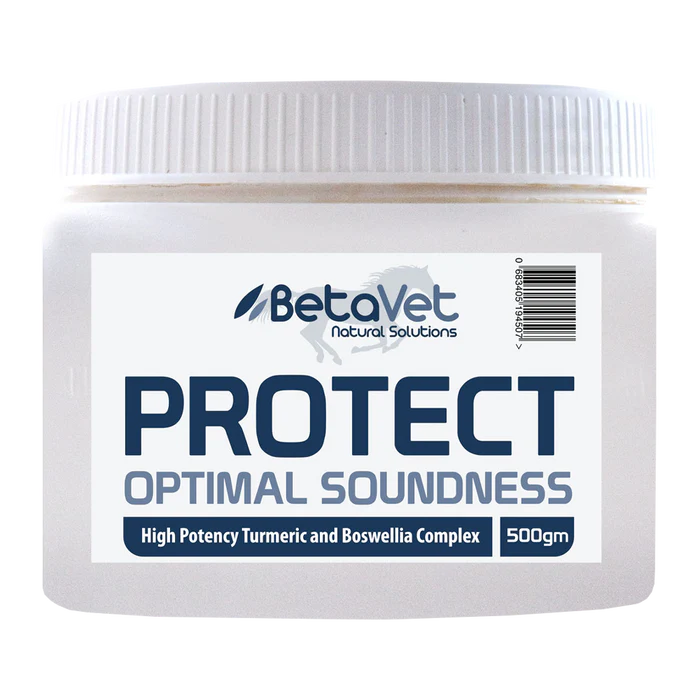 Betavet PROTECT