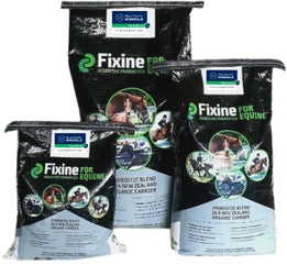 Fixine