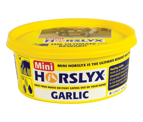 Mini Horslyx 650gm Garlic