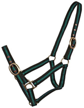 Load image into Gallery viewer, Nylon Halter striped WEB HALTERS
