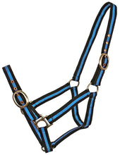 Load image into Gallery viewer, Nylon Halter striped WEB HALTERS
