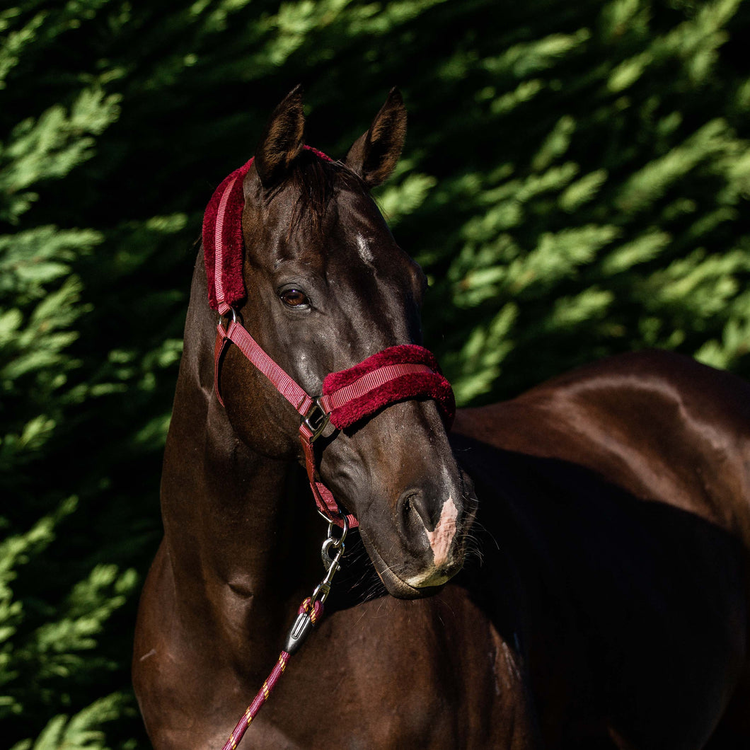 PLUSH FLEECE LINED HALTER