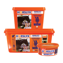 Load image into Gallery viewer, Horslyx Original Balancer
