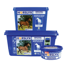 Load image into Gallery viewer, Horslyx Original Balancer
