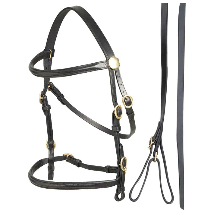 In-Hand Bridle - Havana