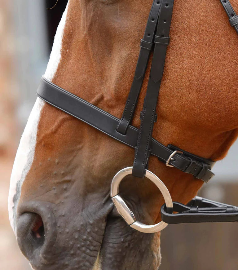 Primo Hunter Bridle