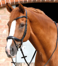 Load image into Gallery viewer, Savuto Anatomic Bridle with Crank Noseband &amp; Flash
