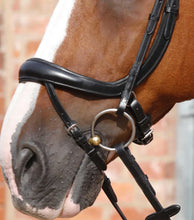 Load image into Gallery viewer, Savuto Anatomic Bridle with Crank Noseband &amp; Flash
