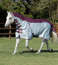 Load image into Gallery viewer, PEI Buster Stay-Dry Super Lite Fly Rug with surcingles
