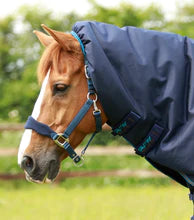 Load image into Gallery viewer, Premier Equine Titan 200g Turnout Rug with Snugfit Neck Cover
