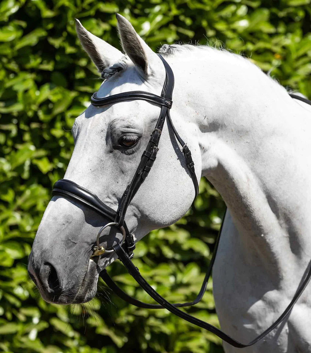 Verdura Anatomic Snaffle Bridle