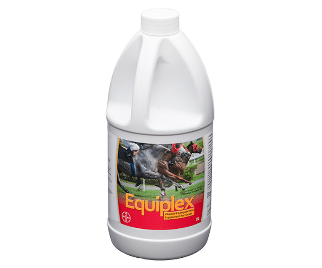 Equiplex™ 2L