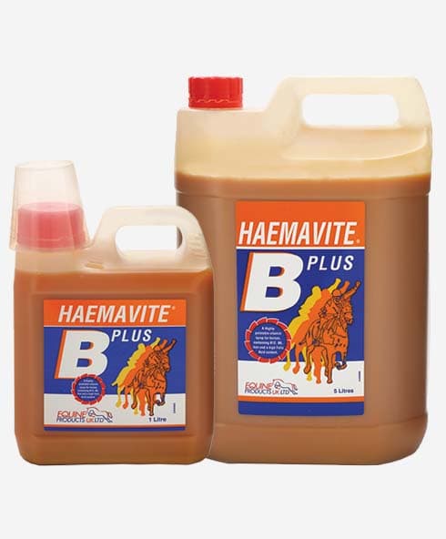 Haemavite B Plus Liquid Iron and B Vitamin Tonic for energy and recuperation.